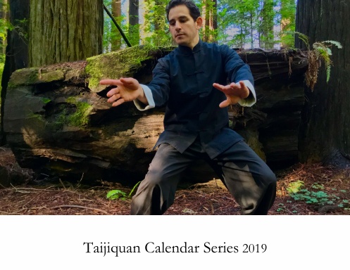 Taijiquan Calendar Training Series 2019