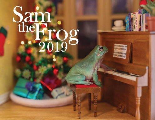 Sam the Frog