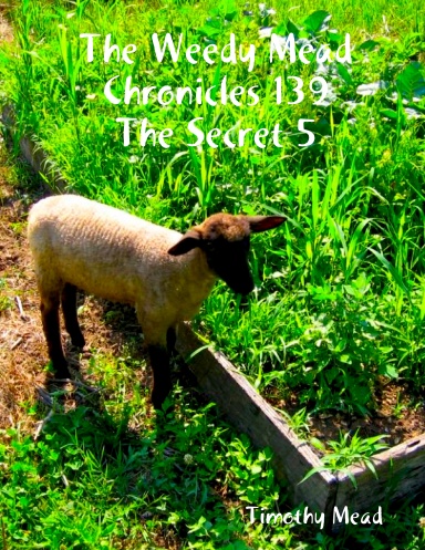 The Weedy Mead Chronicles 139 The Secret 5
