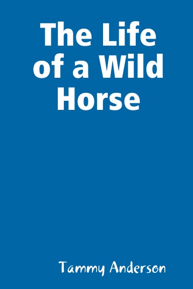 The Life of a Wild Horse