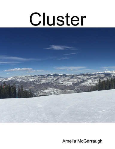 Cluster