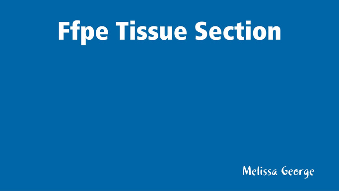 Ffpe Tissue Section