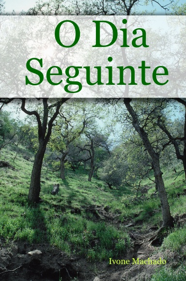 O Dia Seguinte