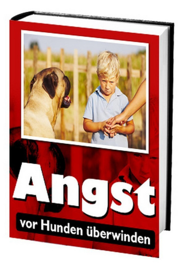 Angst vor Hunden überwinden