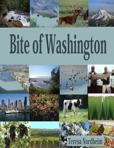 Bite of Washington