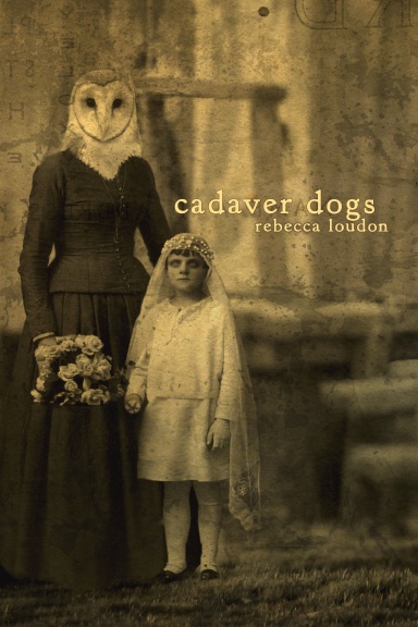 Cadaver Dogs