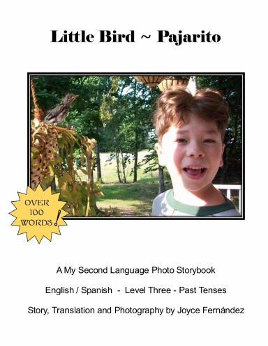 Little Bird - Pajarito