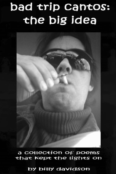 bad trip cantos:  the big idea