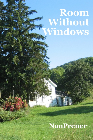 Room Without Windows