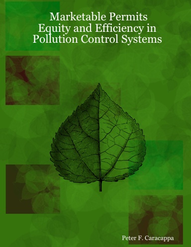 Marketable Permits: Equity and Efficiency in Pollution Control Systems