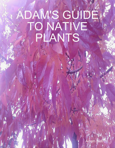 ADAM'S GUIDE TO NATIVE PLANTS