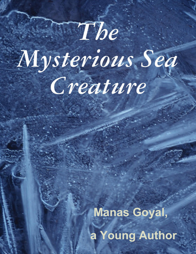 The Mysterious Sea Creature