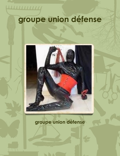 groupe union défense