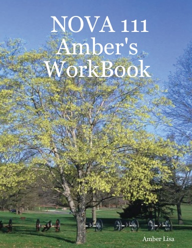 NOVA 111 Amber's WorkBook
