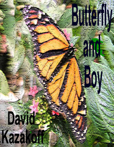 Butterfly and Boy