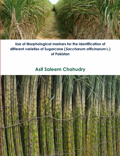 Use of Morphological markers for the identification of different sugarcane (Saccharum officinarum L.)varieties of Pakistan