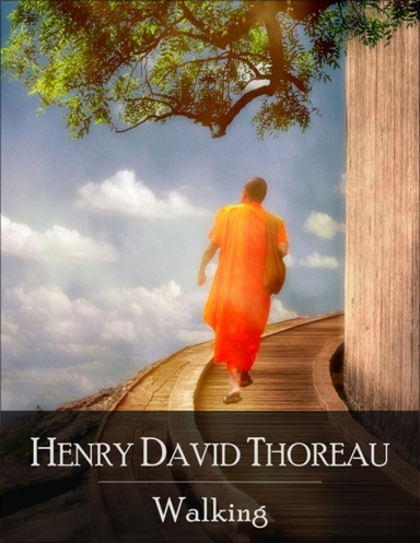 Walking: The Secret Edition - Open Your Heart to the Real Power and Magic of Living Faith and Let the Heaven Be in You, Go Deep Inside Yourself and Back, Feel the Crazy and Divine Love and Live for Your Dreams