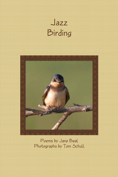 Jazz Birding