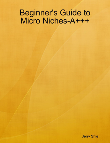 Beginner's Guide to Micro Niches-A+++