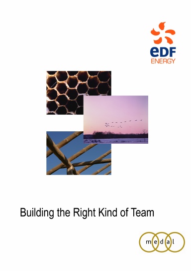 Building the Right Kind of Team