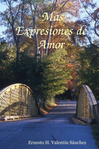 Más Expresiones de Amor