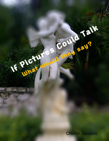 " If Pictures Could Talk "