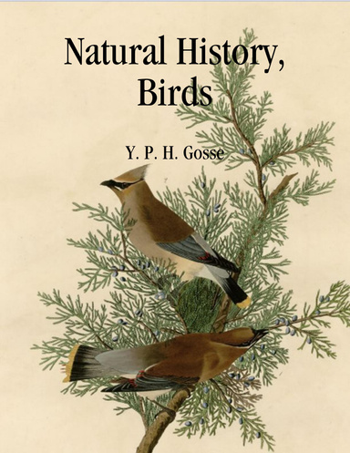 Natural History, Birds