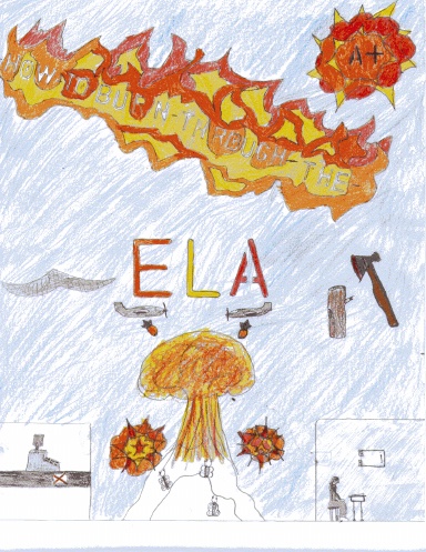 Mrs. Nasca's Period 4FG Book