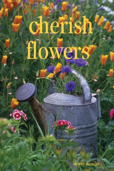 cherish flowers