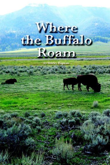 Where the Buffalo Roam