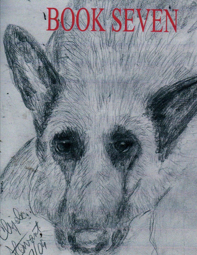 BOOK SEVEN