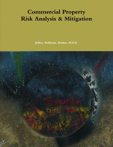 Commercial Property Risk Analysis & Mitigation
