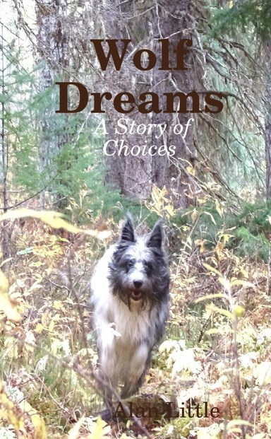 Wolf Dreams  A Story of Choices