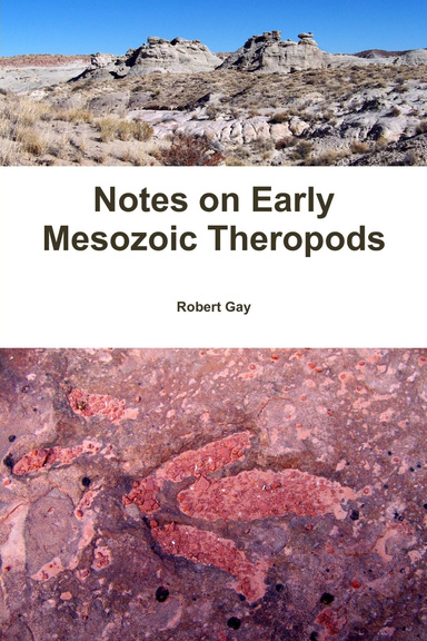 Notes on Early Mesozoic Theropods