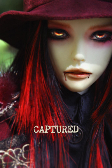 Captured: book 1