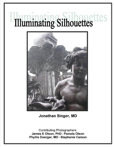 Illuminating Silhouettes