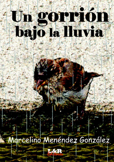Un gorrión bajo la lluvia