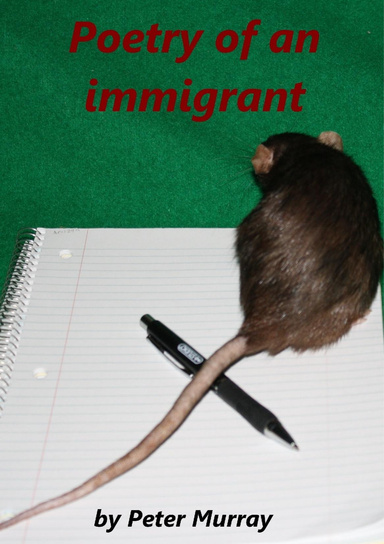 Poetry of an immigrant