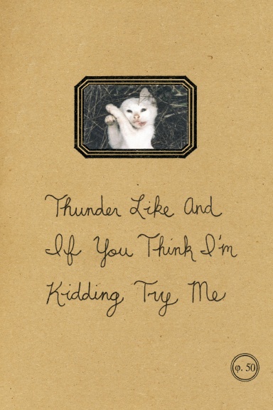Thunder Like And If You Think I'm Kidding Try Me