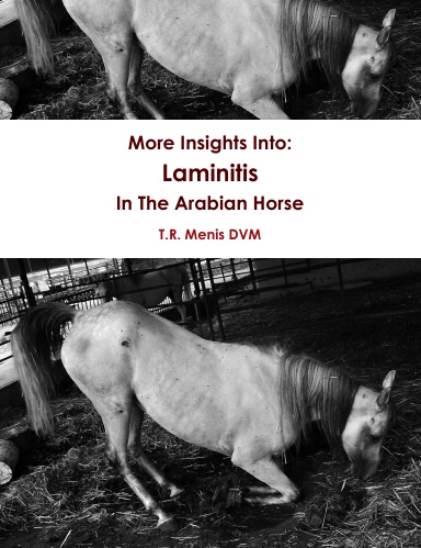 More Insights Into: Laminitis In The Arabian Horse