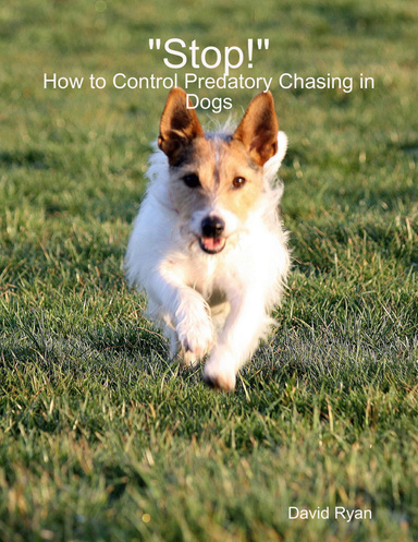 "Stop!": How to Control Predatory Chasing in Dogs