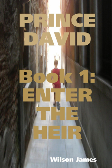 Prince David, Book 1: Enter the Heir