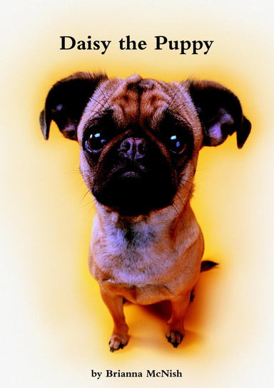 Daisy the Puppy