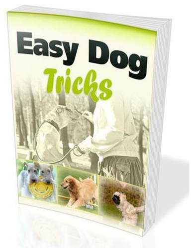 Easy Dog Tricks