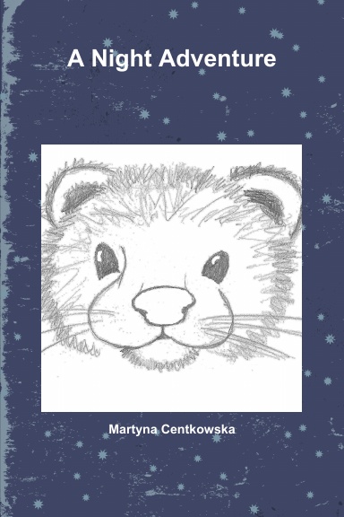 A Night Adventure