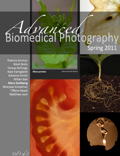 Advanced Biomed Spring 2011 Vol 1
