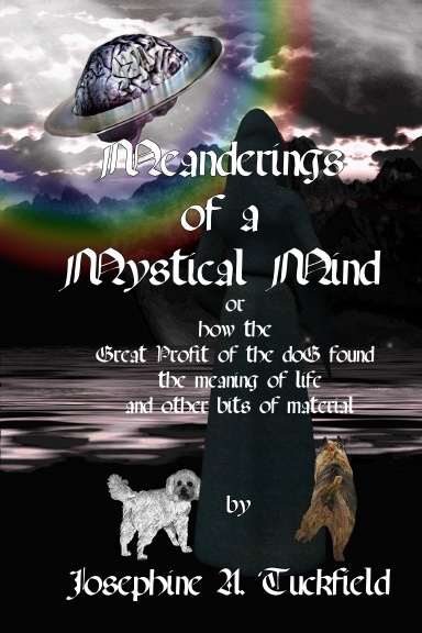 Meanderings of a Mystical Mind
