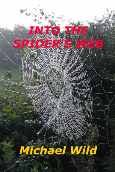 Into the Spider's Web
