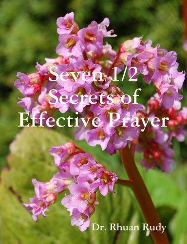Seven 1/2 Secrets of Effective Prayer Report