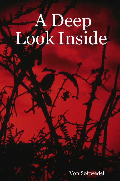 A Deep Look Inside